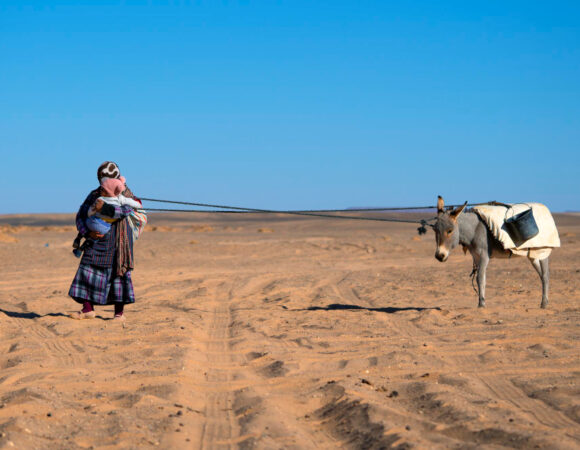 Experiencing the Magic of Morocco – Top Activities and Attractions